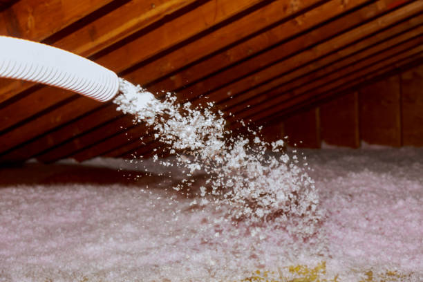 Best Garage Insulation Installation  in Hawarden, IA