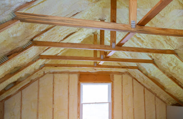Best Energy-efficient Insulation  in Hawarden, IA