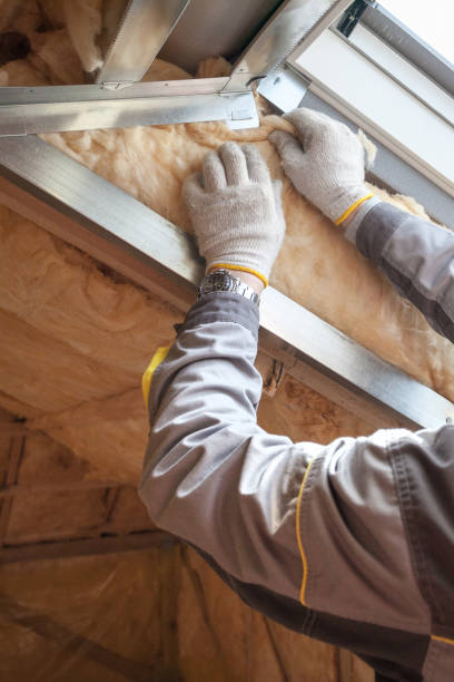 Best Cellulose Insulation  in Hawarden, IA