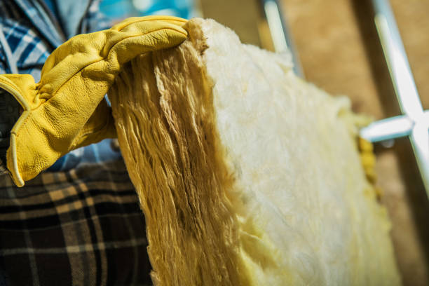 Best Affordable Insulation Services  in Hawarden, IA
