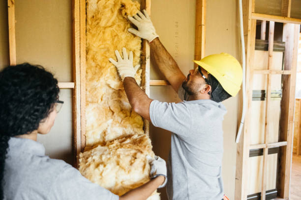 Best Insulation Contractor Near Me  in Hawarden, IA