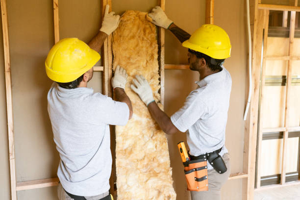 Best Spray Foam Insulation  in Hawarden, IA