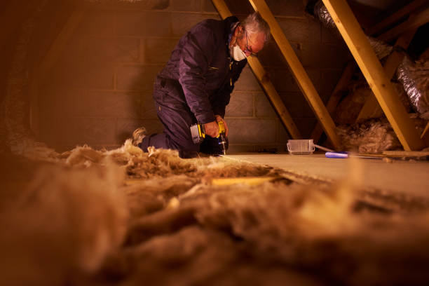 Best Affordable Insulation Services  in Hawarden, IA